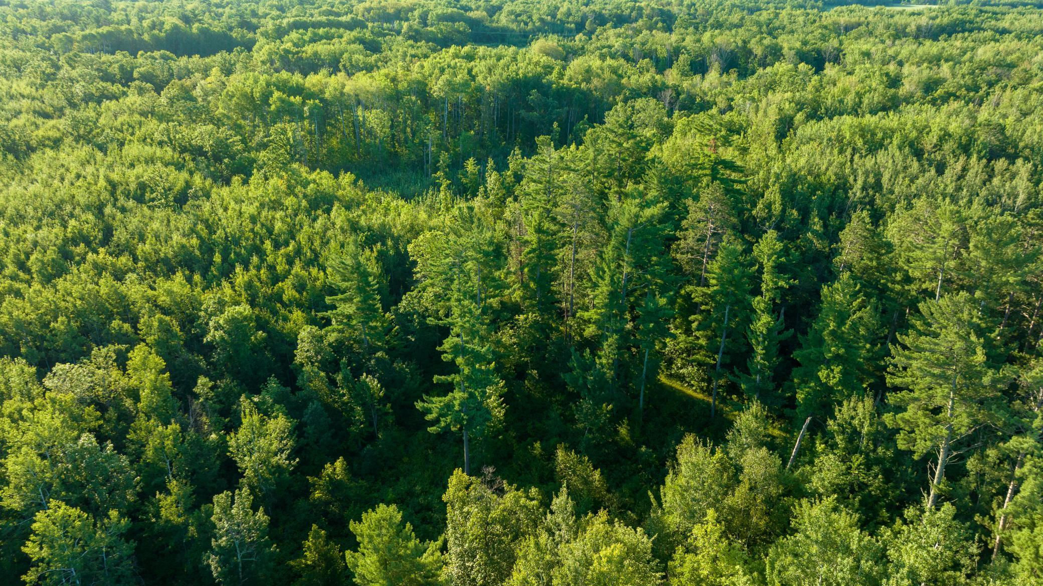 Cass MN 1095 Featured ProPhoto-87.jpg