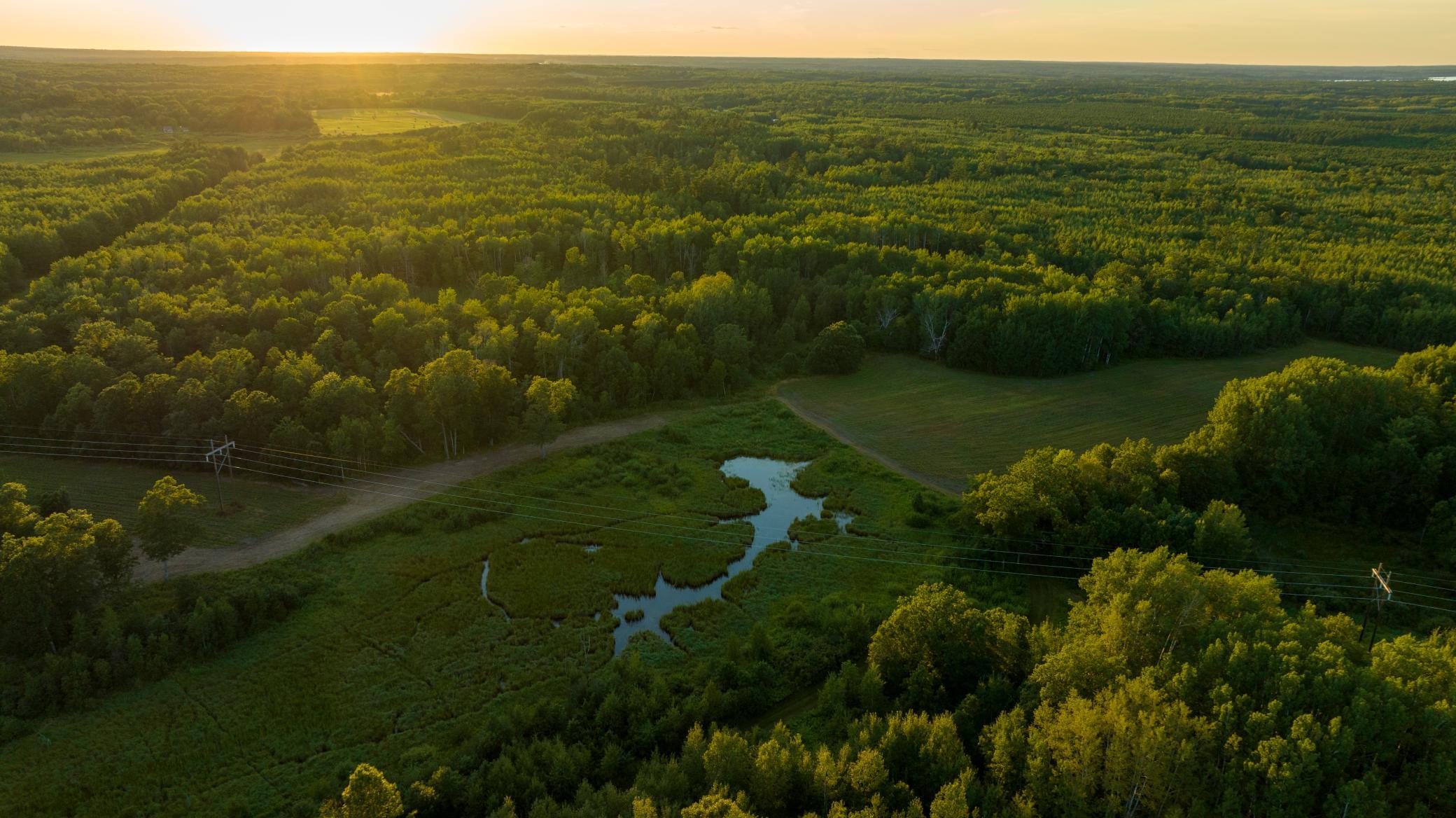 Cass MN 1095 Featured ProPhoto-97.jpg