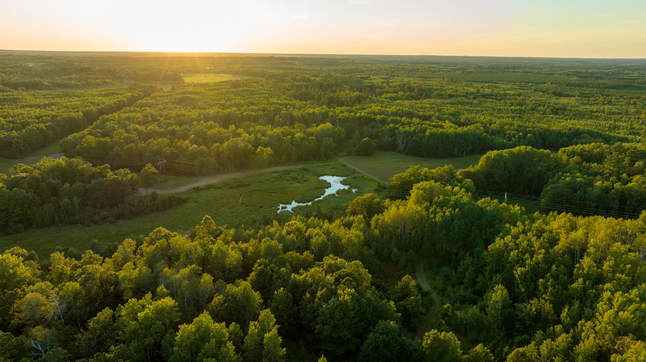 Cass MN 1095 Featured ProPhoto-96.jpg