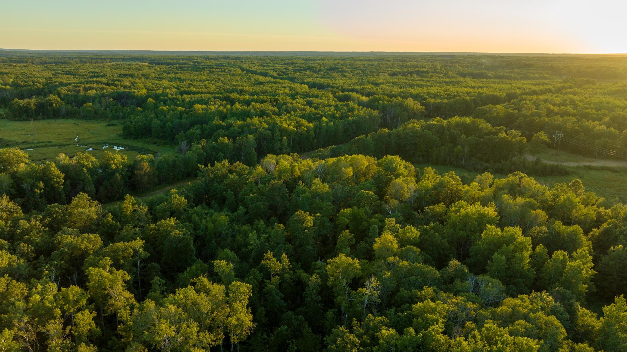 Cass MN 1095 Featured ProPhoto-95.jpg