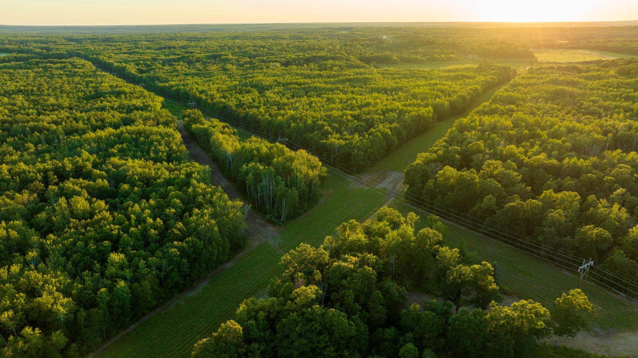 Cass MN 1095 Featured ProPhoto-99.jpg