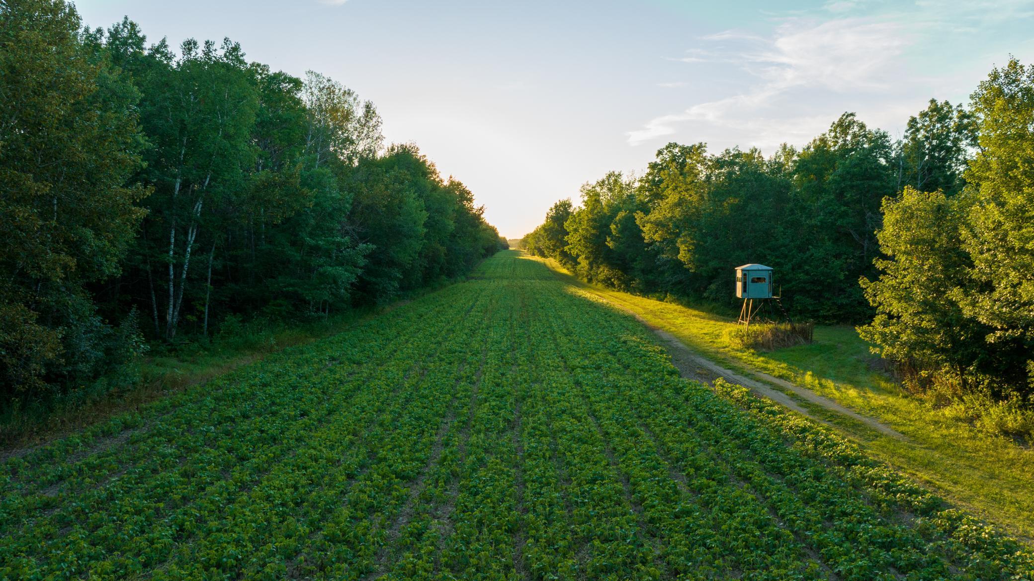 Cass MN 1095 Featured ProPhoto-94.jpg