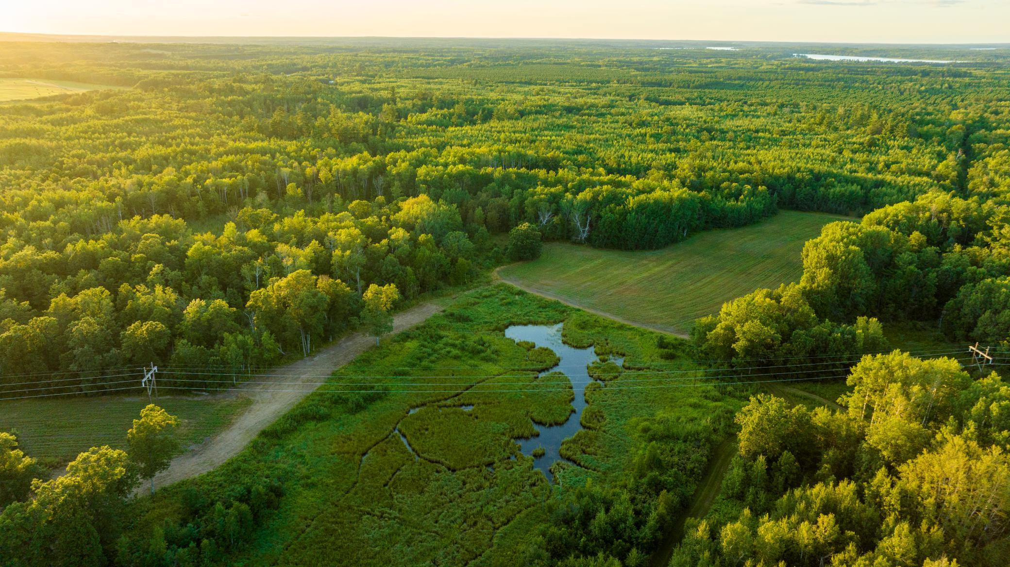 Cass MN 1095 Featured ProPhoto-98.jpg