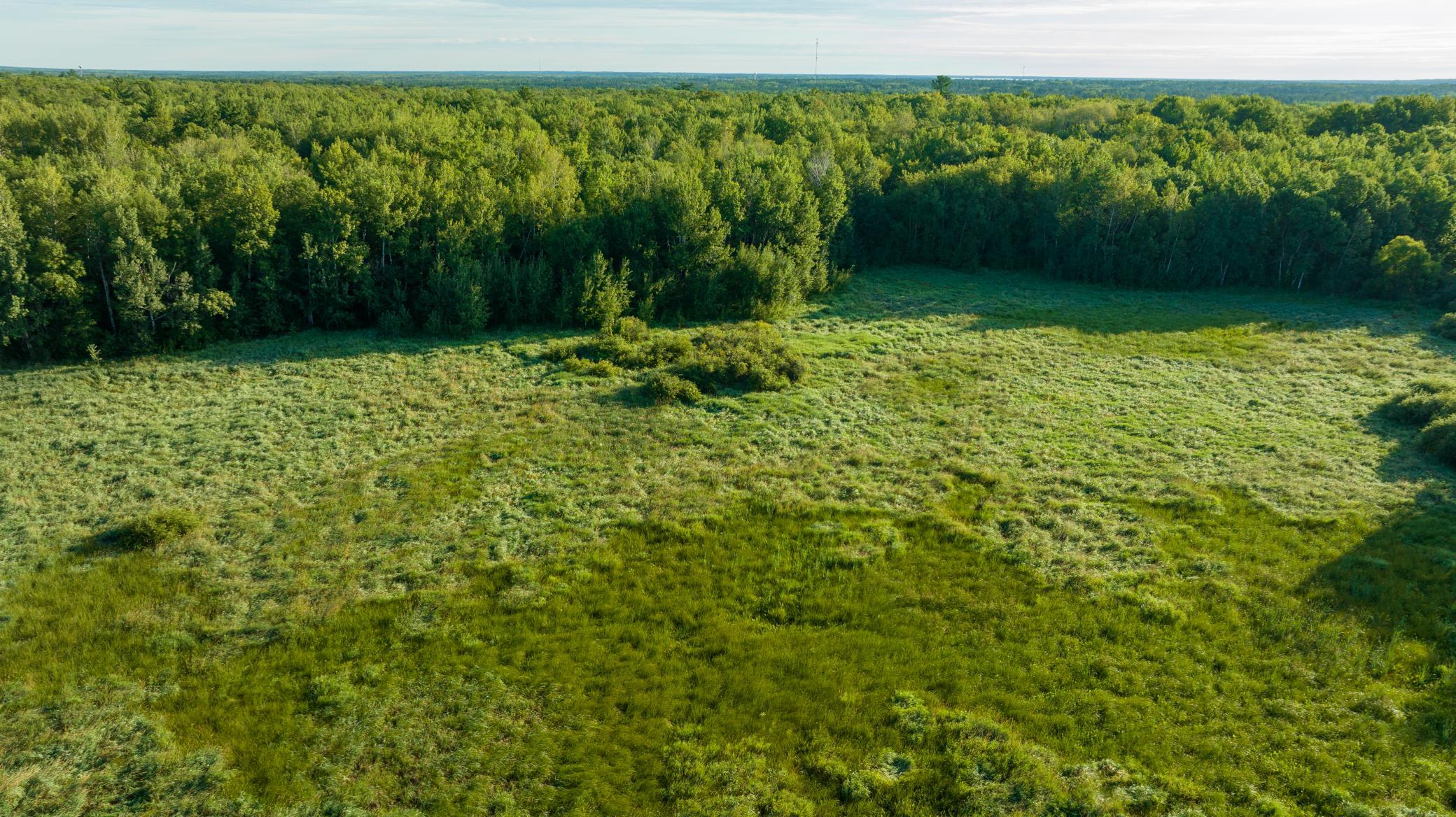 Cass MN 1095 Featured ProPhoto-92.jpg