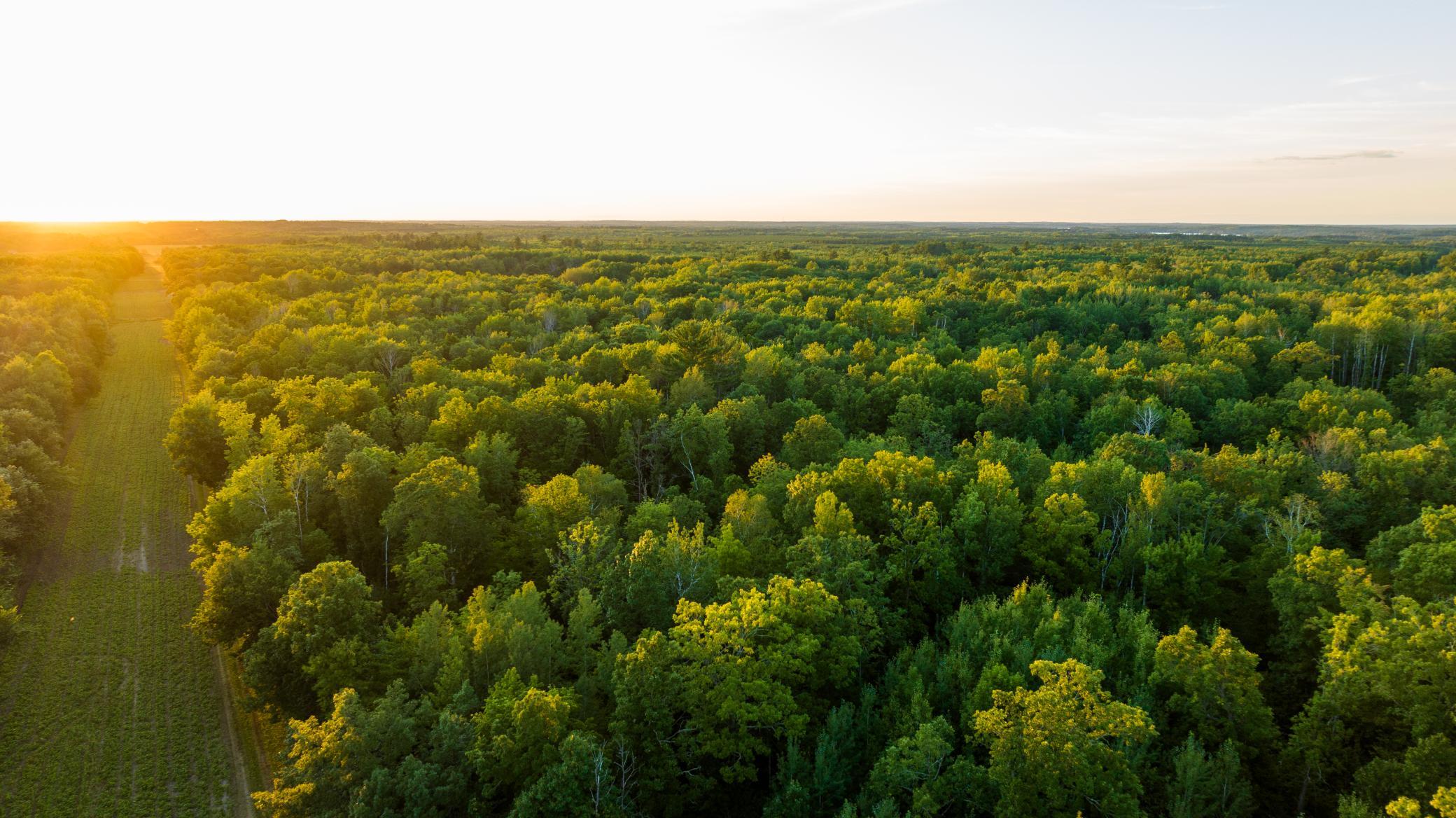 Cass MN 1095 Featured ProPhoto-113.jpg