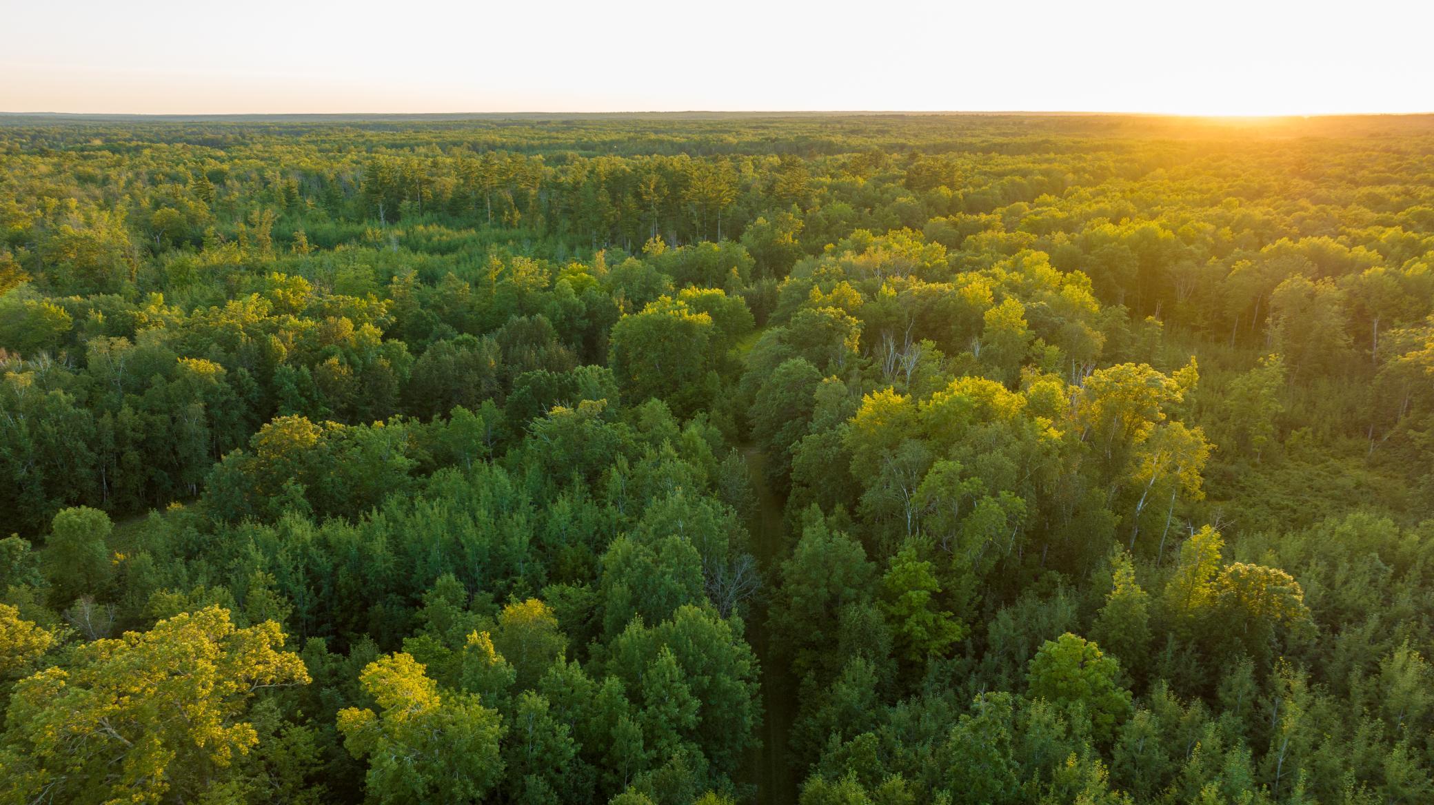 Cass MN 1095 Featured ProPhoto-109.jpg