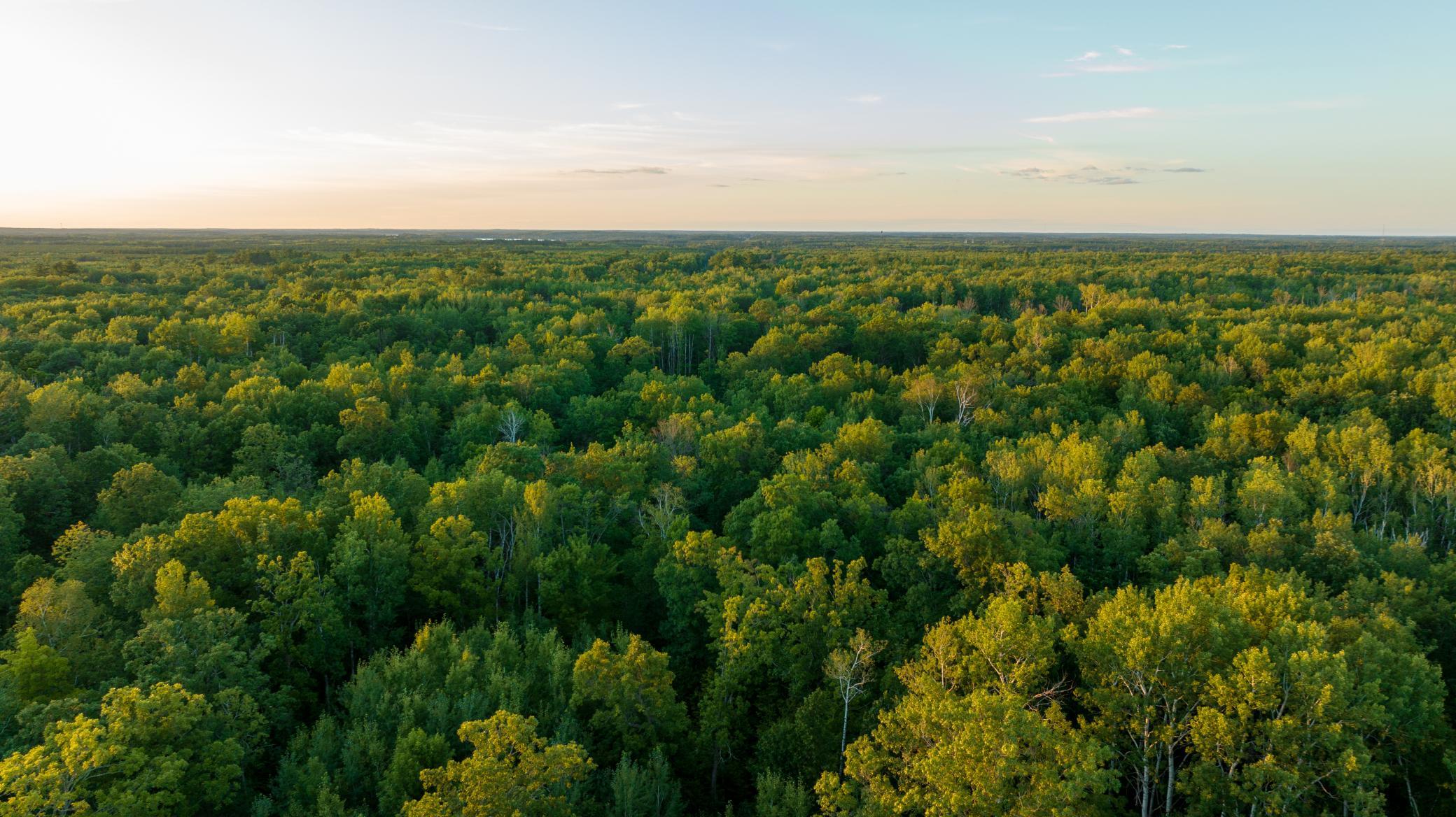 Cass MN 1095 Featured ProPhoto-114.jpg