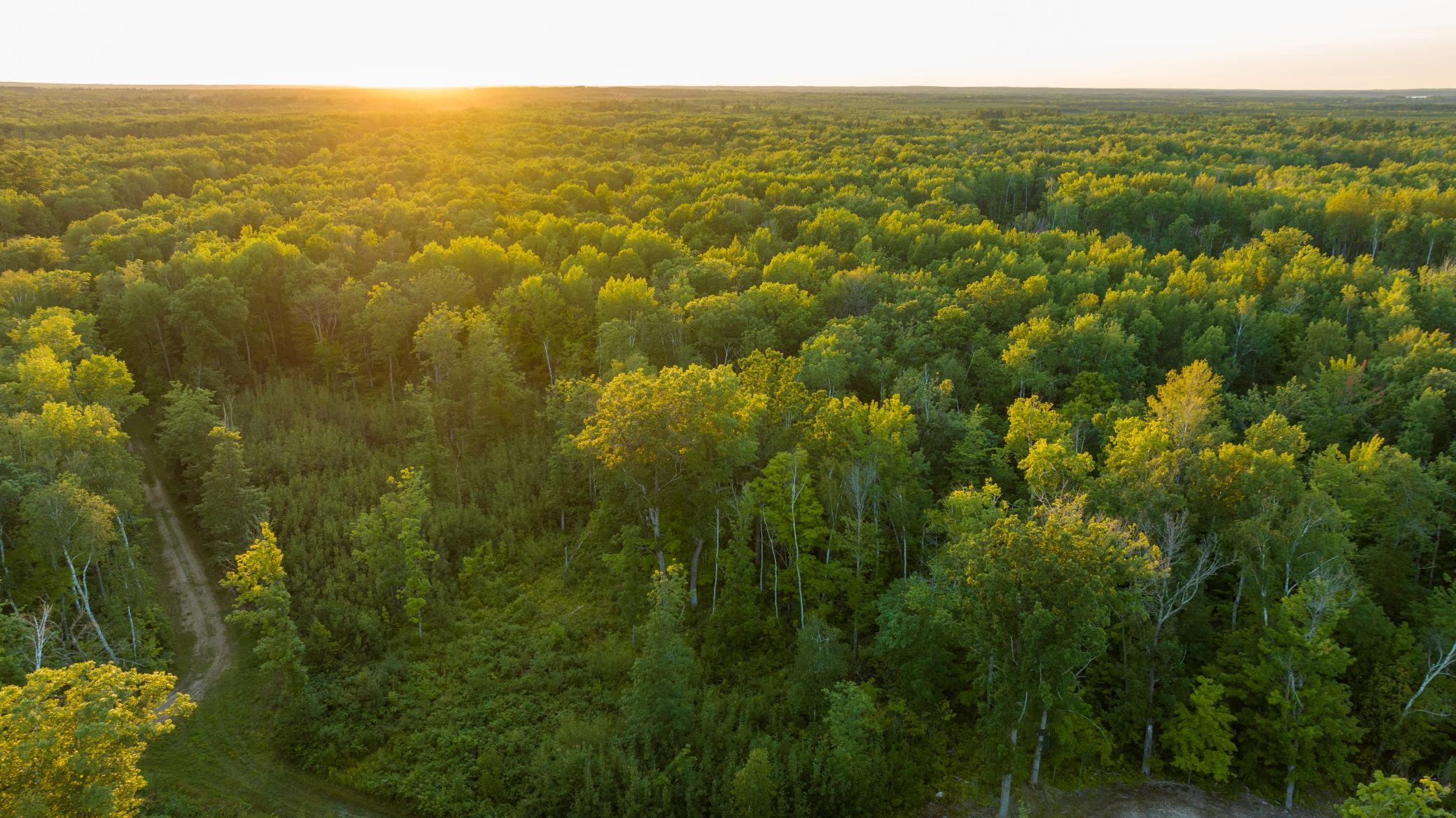 Cass MN 1095 Featured ProPhoto-110.jpg