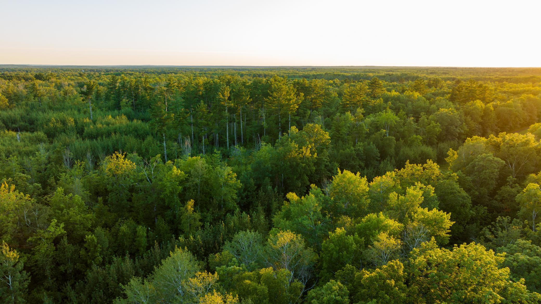 Cass MN 1095 Featured ProPhoto-112.jpg