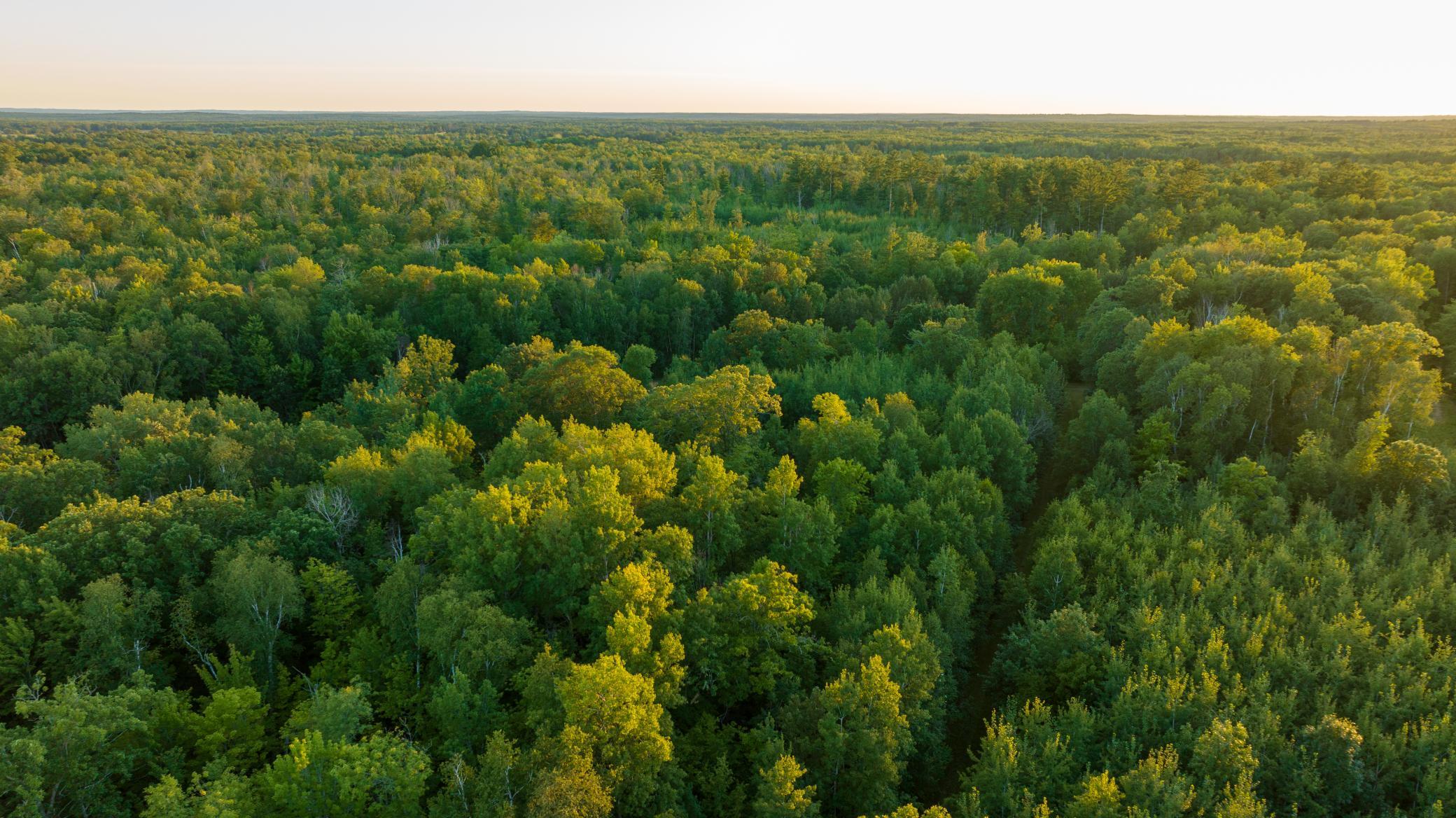 Cass MN 1095 Featured ProPhoto-108.jpg