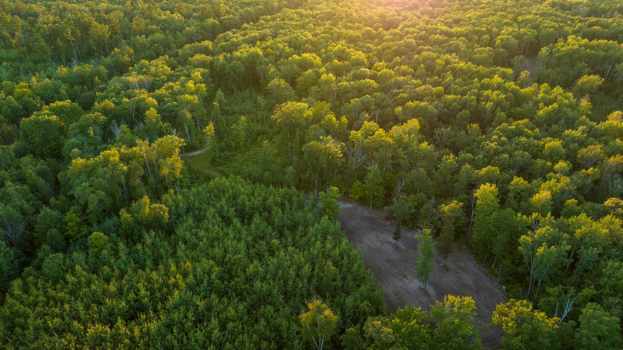 Cass MN 1095 Featured ProPhoto-107.jpg