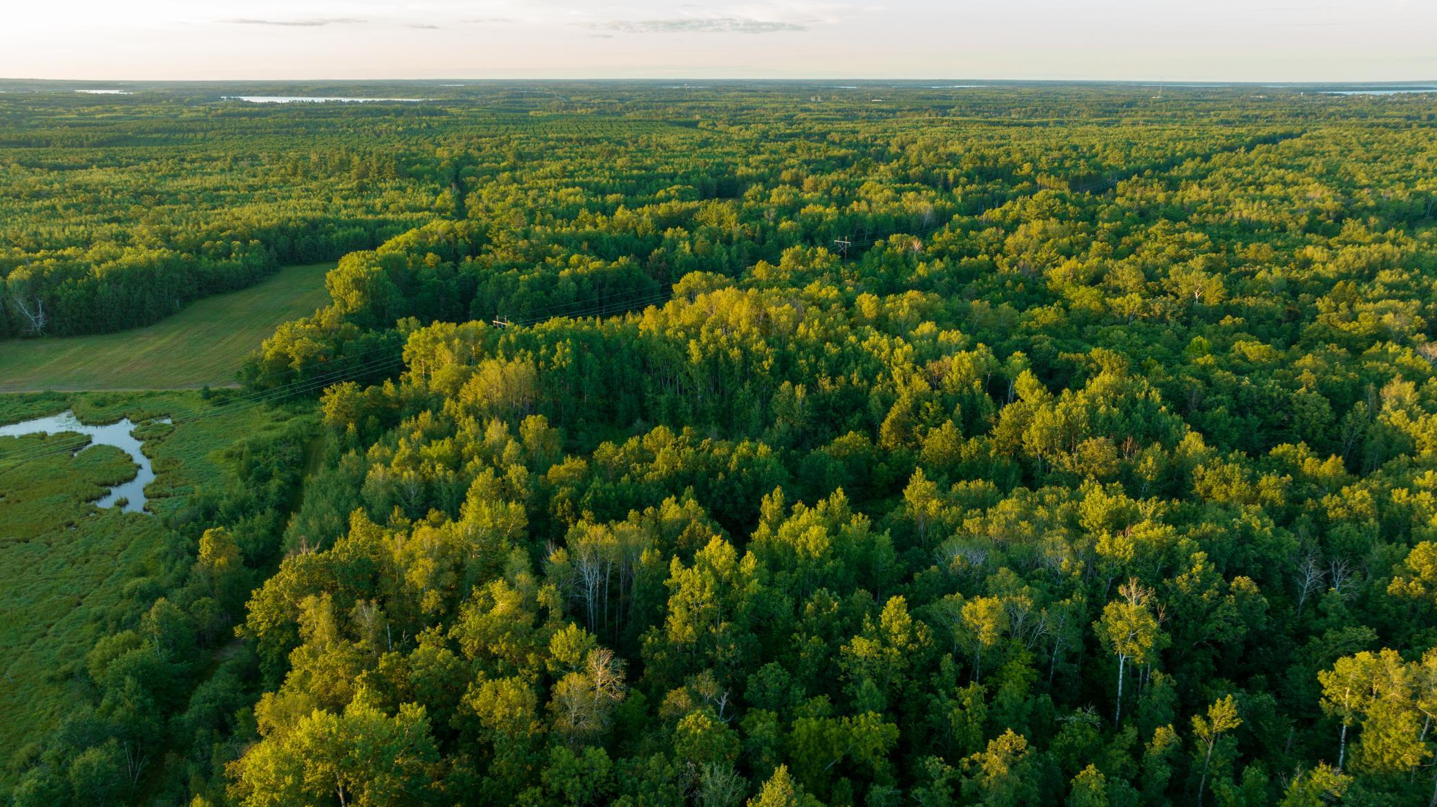 Cass MN 1095 Featured ProPhoto-102.jpg