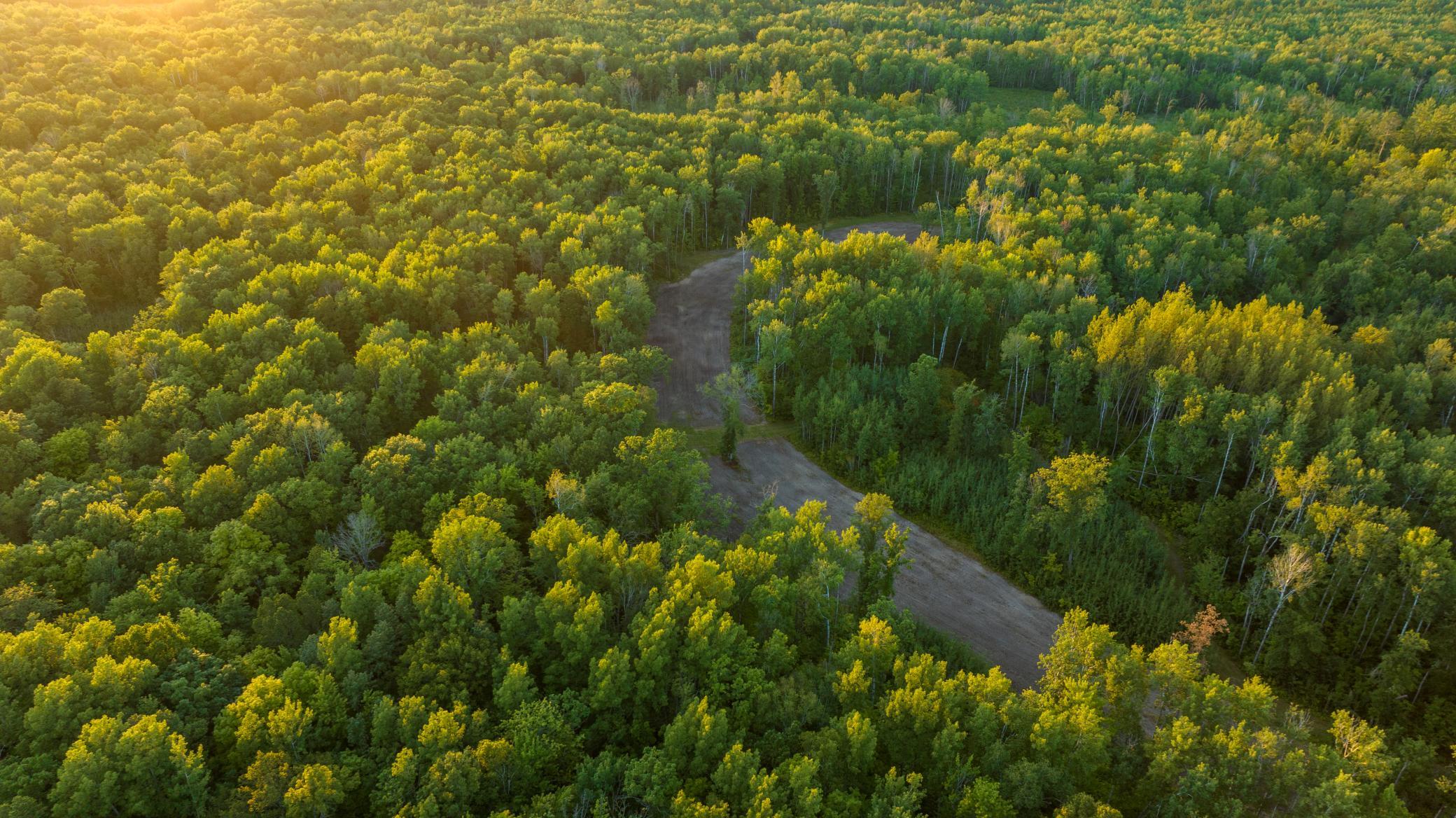 Cass MN 1095 Featured ProPhoto-106.jpg