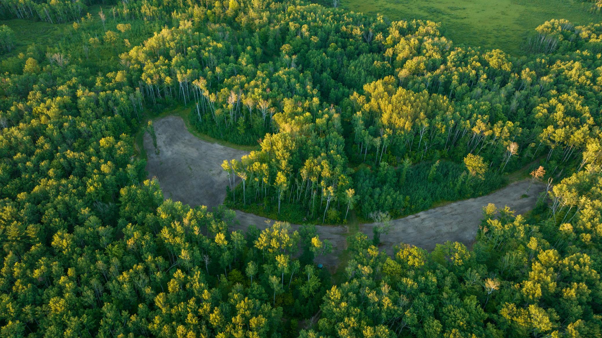 Cass MN 1095 Featured ProPhoto-104.jpg