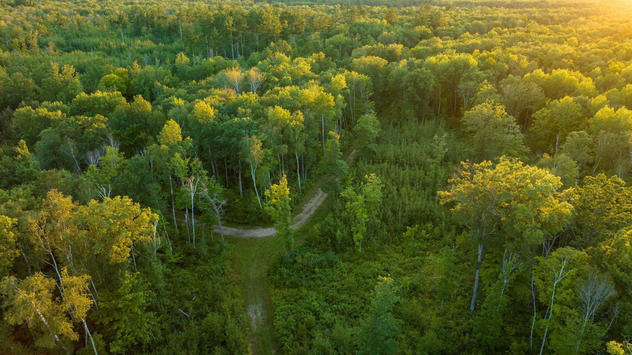 Cass MN 1095 Featured ProPhoto-111.jpg