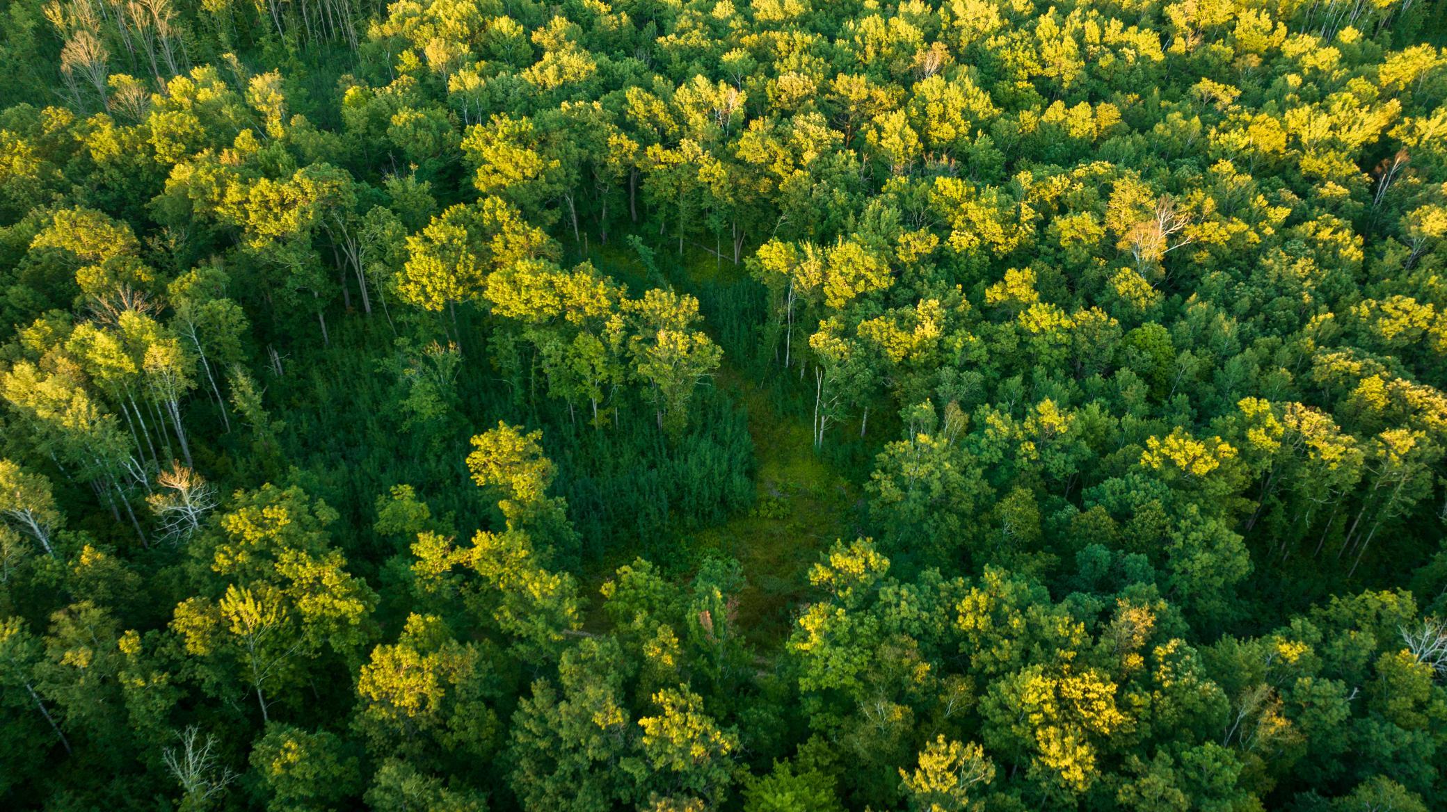 Cass MN 1095 Featured ProPhoto-103.jpg