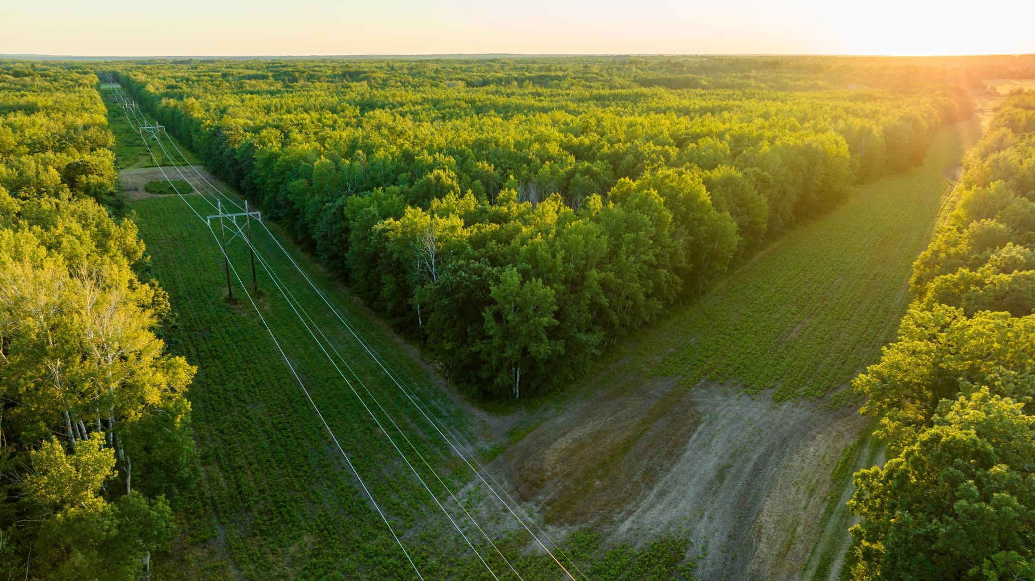 Cass MN 1095 Featured ProPhoto-100.jpg