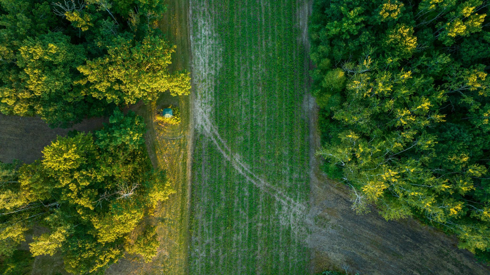 Cass MN 1095 Featured ProPhoto-101.jpg