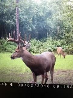 IMG_0899.jpeg