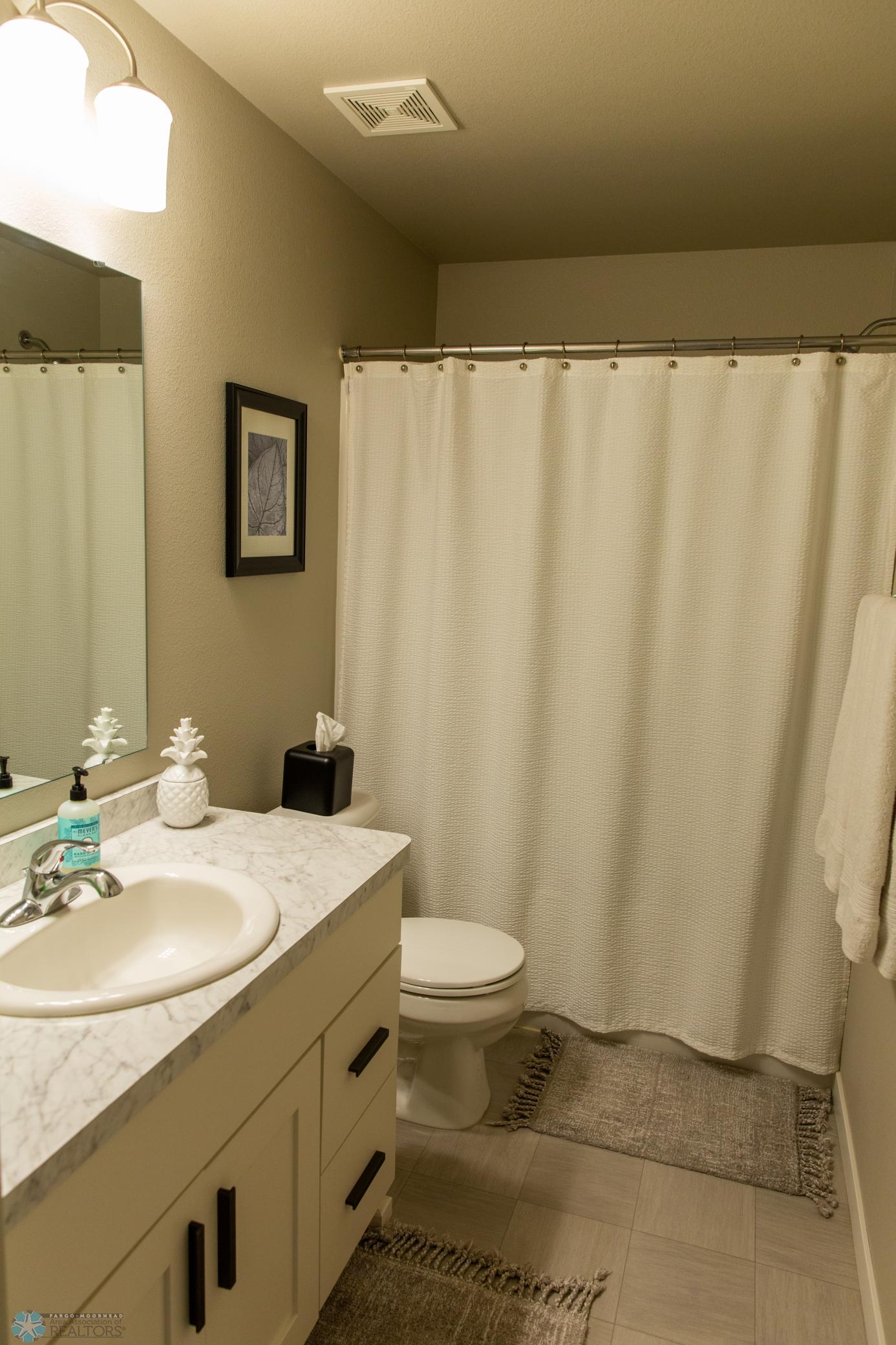 Lower Level Bathroom