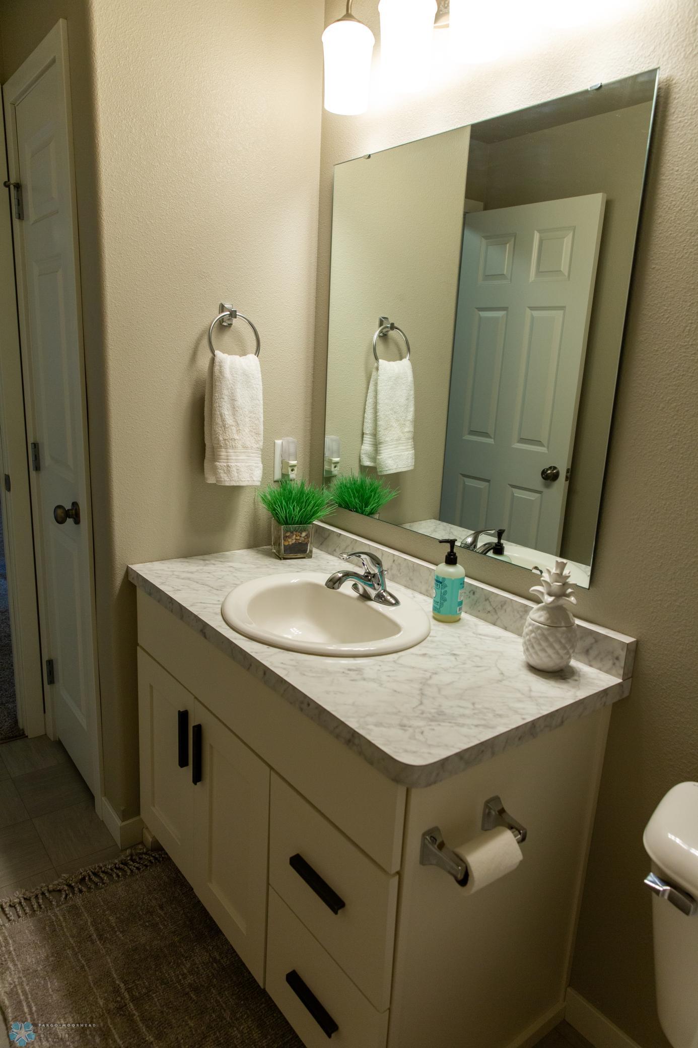 Lower Level Bathroom