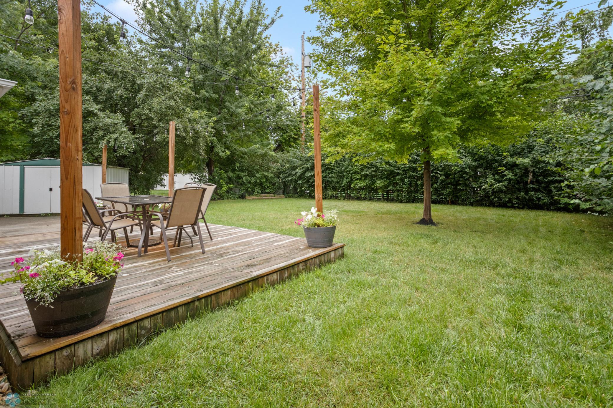Backyard 3