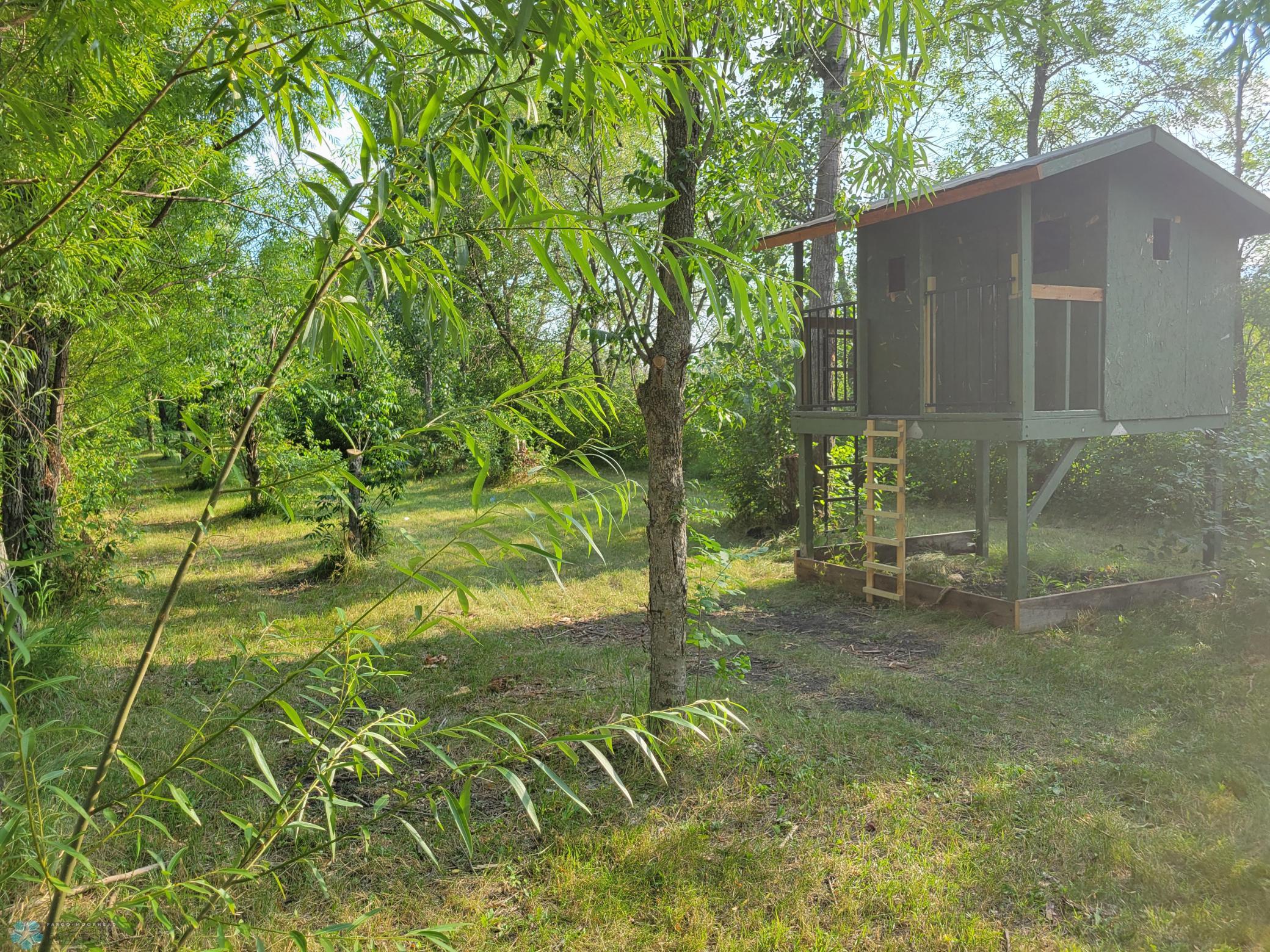 Tree House (1).jpg