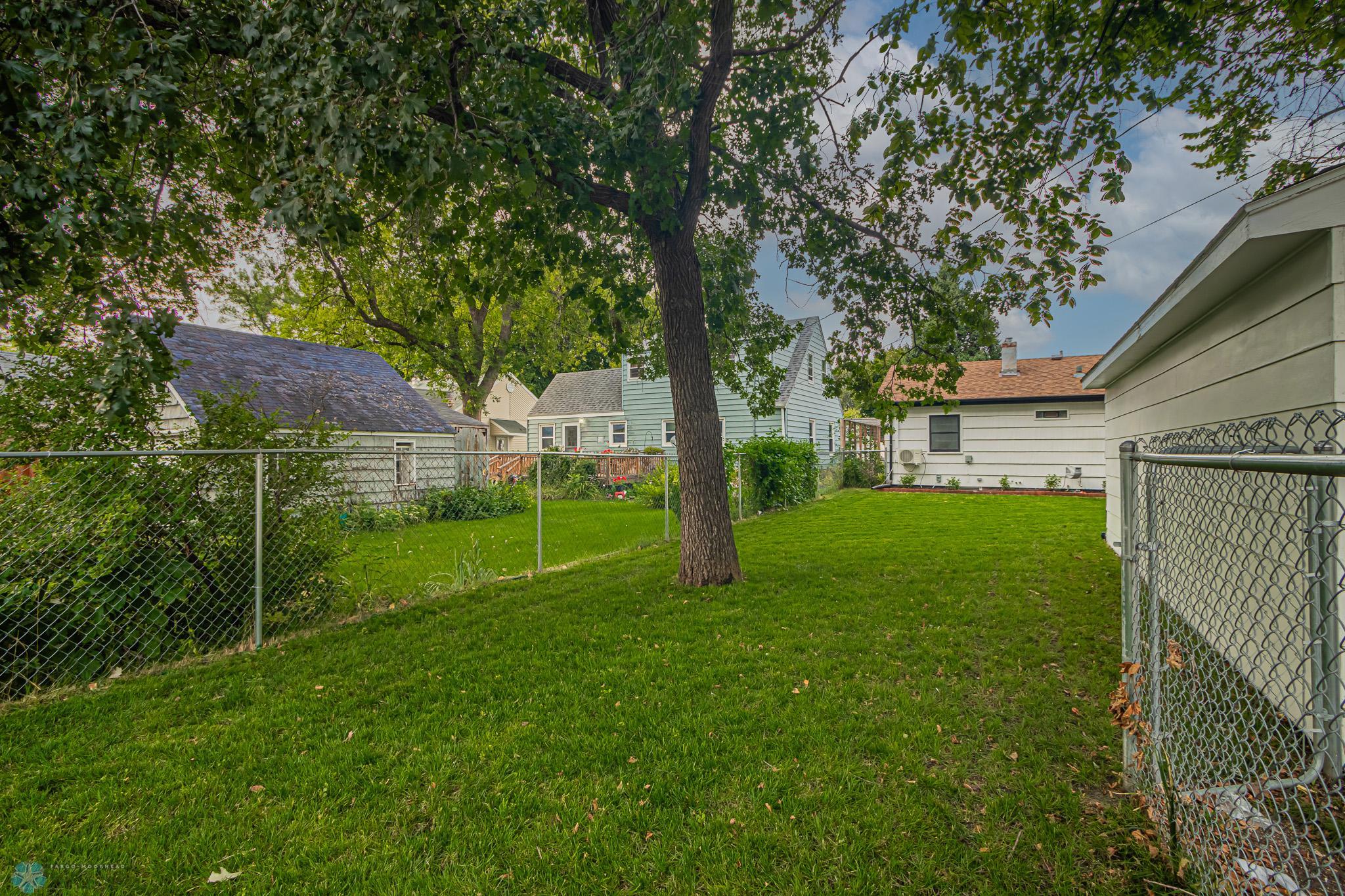 Backyard_7.jpg