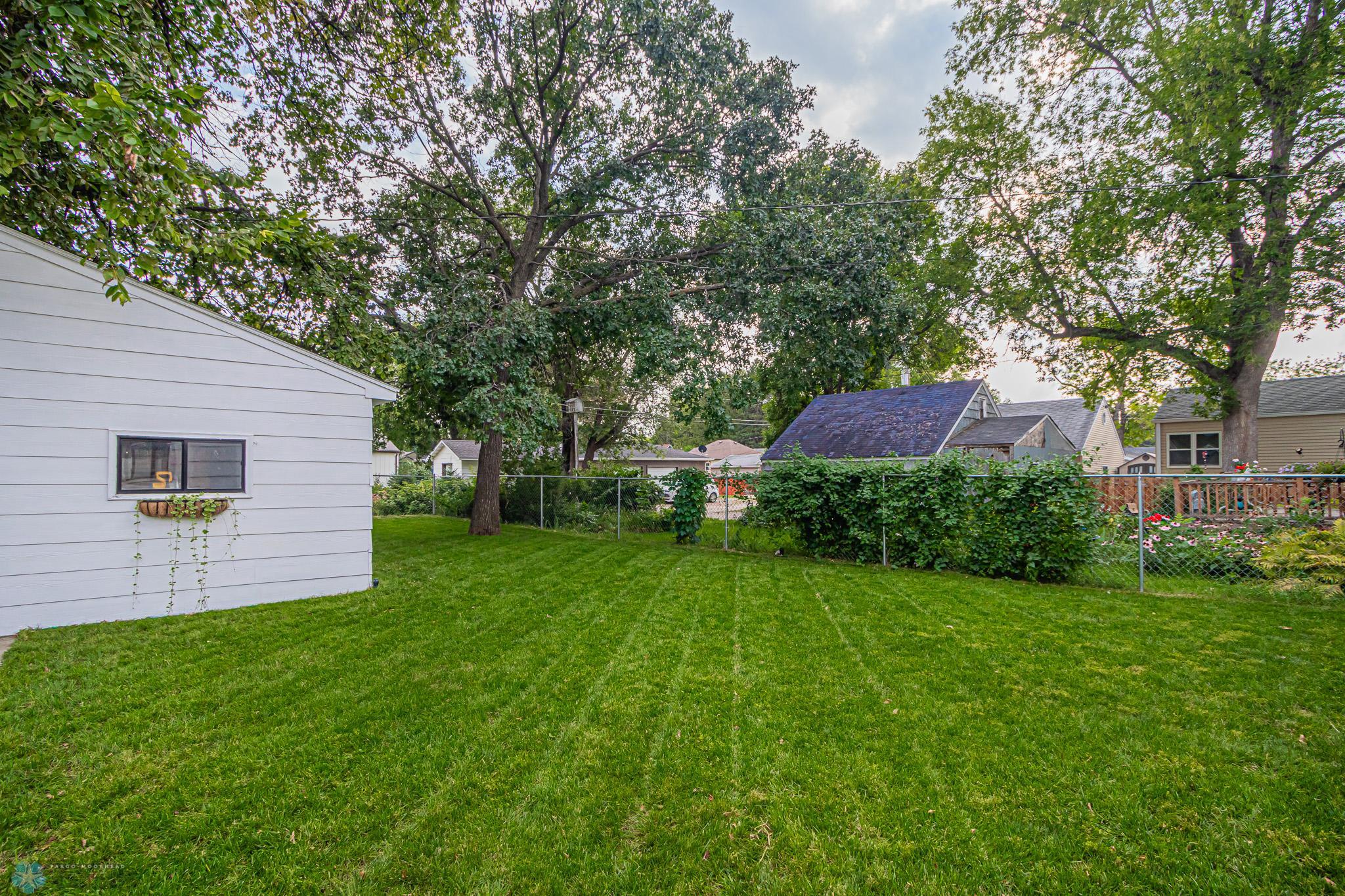 Backyard_1.jpg