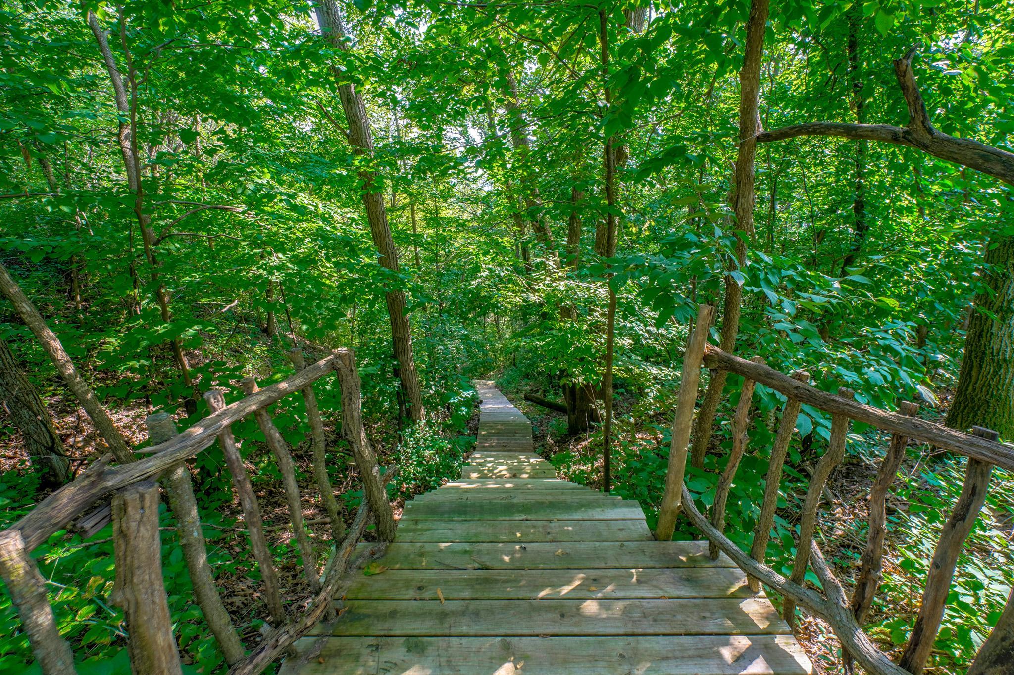 A rustic staircase set within a ravine takes you to the beach, a nice alternative for exercise!