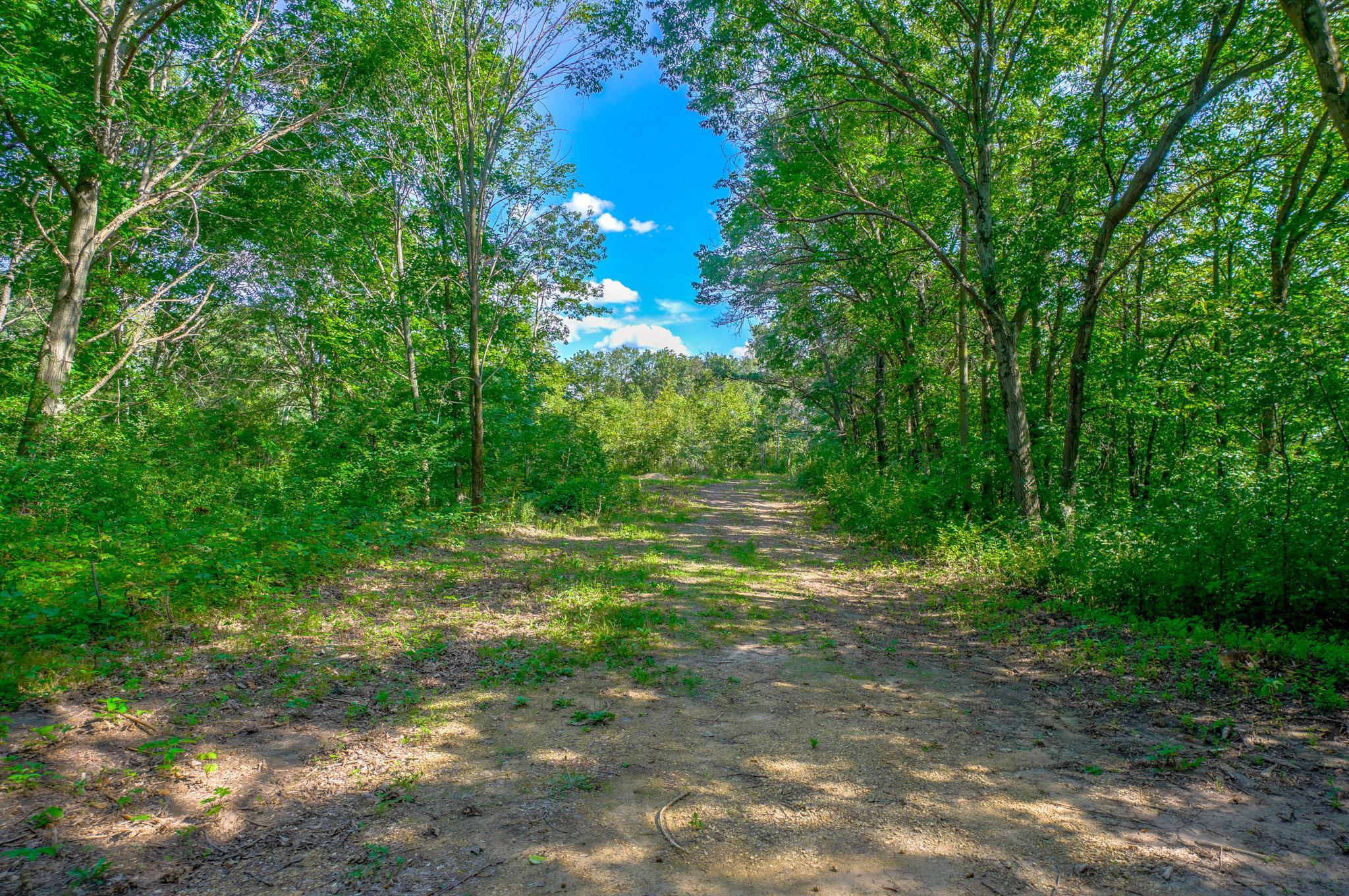 One of the trails that runs along the bluff line from the entrance road to the far south end on top of the bluff, leading to the meadow (Lot 7) and to the ridge trail viewing the river valley below