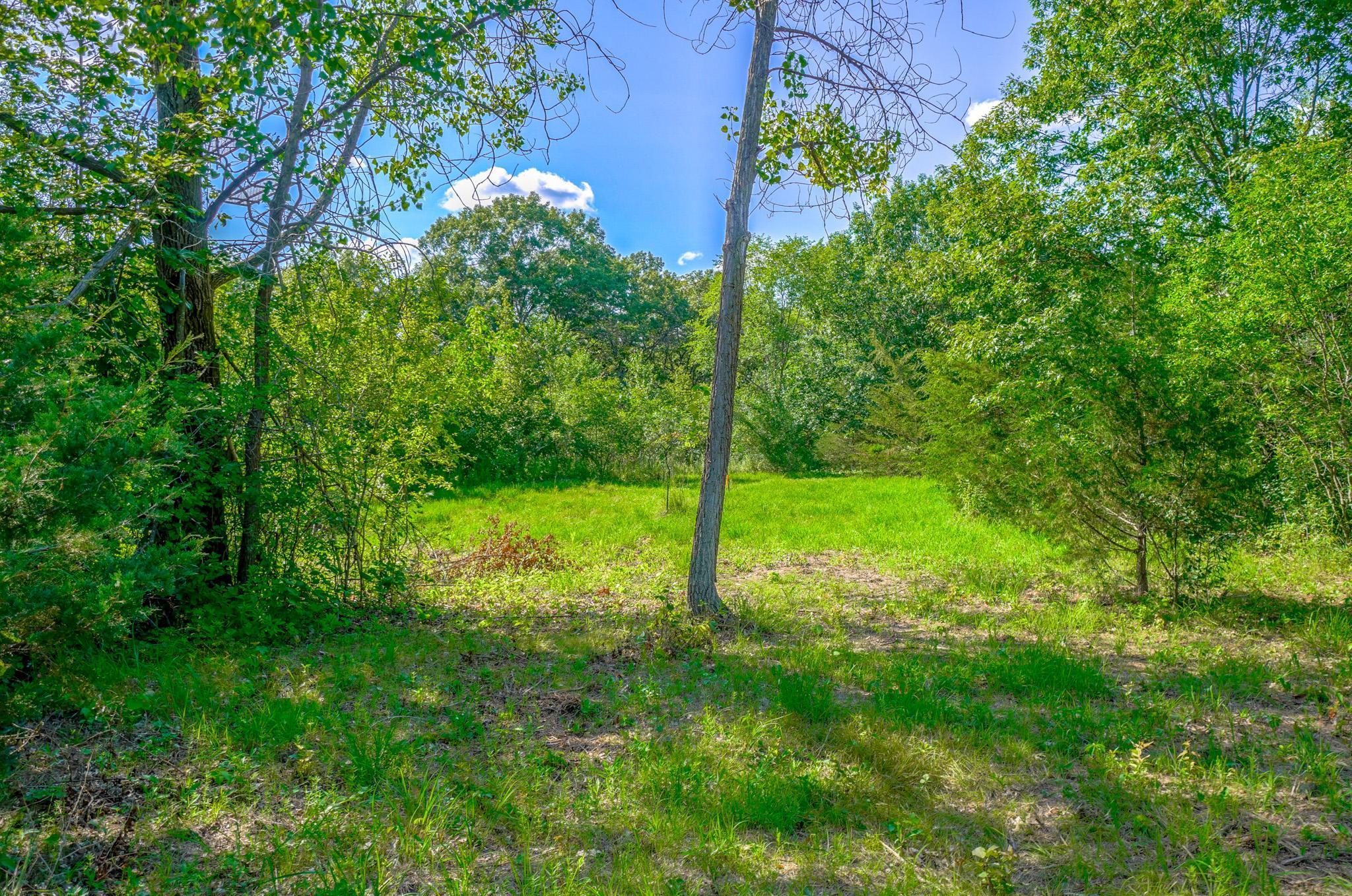 Build in or near this Lot 7 meadow or choose a wooded building site...great choices!