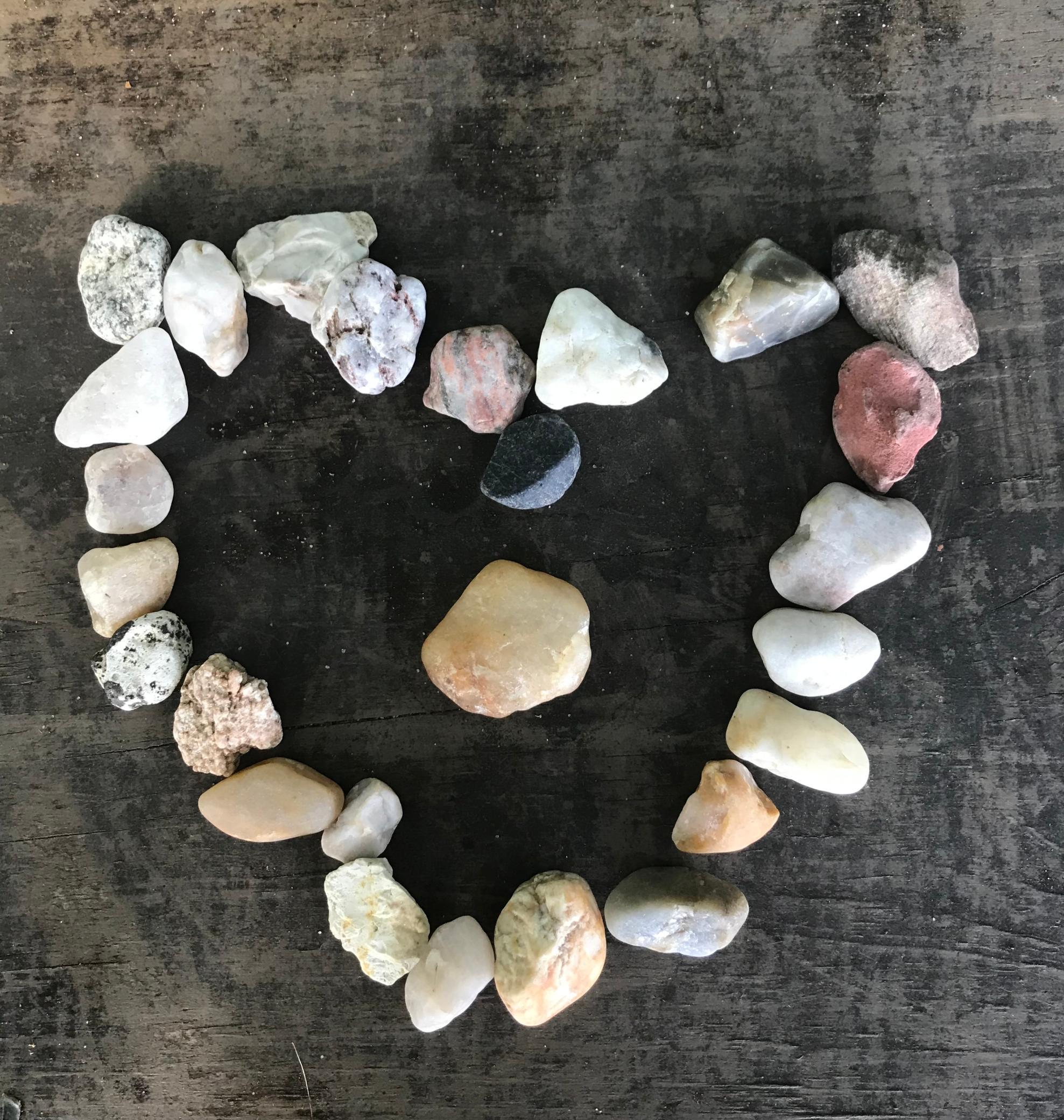 A budding geologist in the family? great gems to be found! Invest in a rock tumbler and books on rocks!