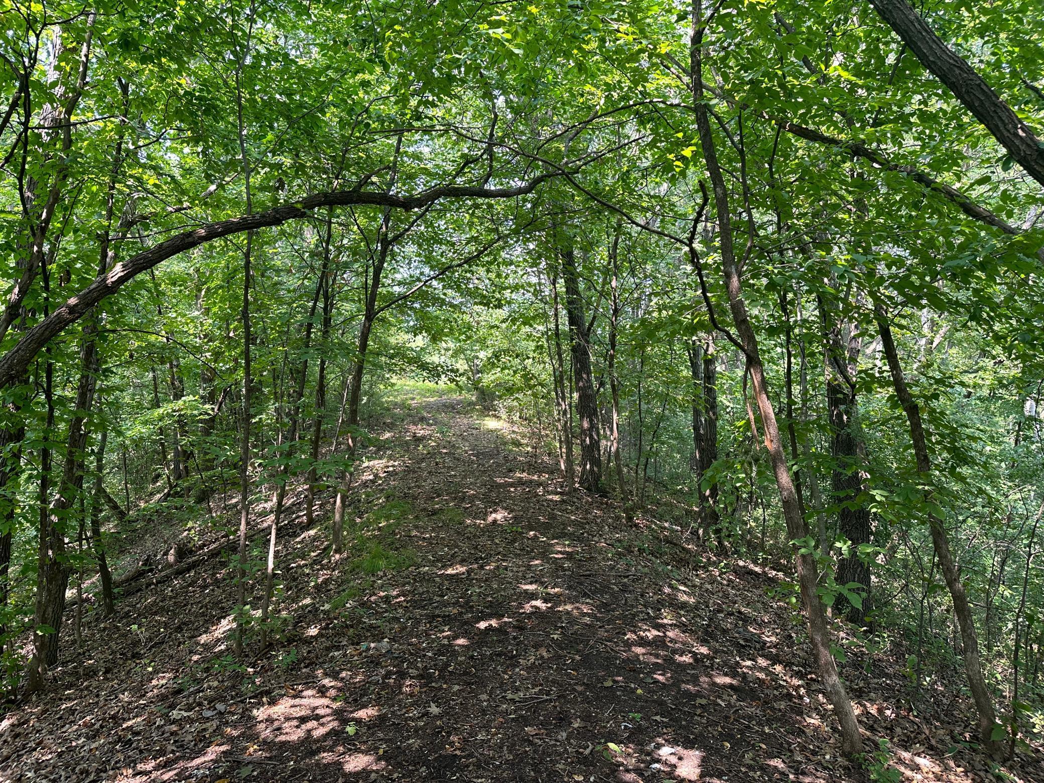 A magical trail bordered by ravines on each side, it's the owners favorite xc ski trail!