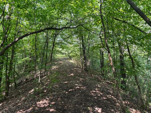 A magical trail bordered by ravines on each side, it's the owners favorite xc ski trail!