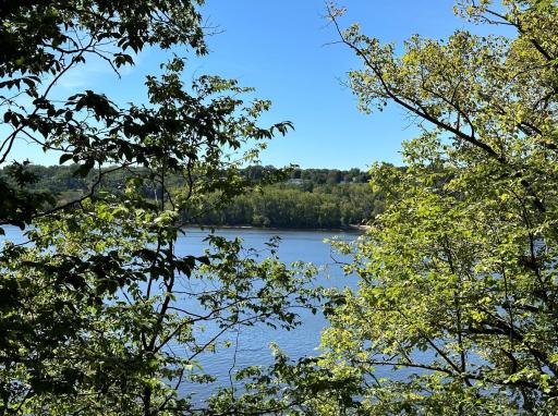Bluff line river view from one of the possible build sites.