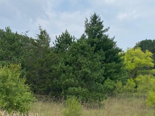 XXX 257th Avenue NW, Big Lake, MN 55309