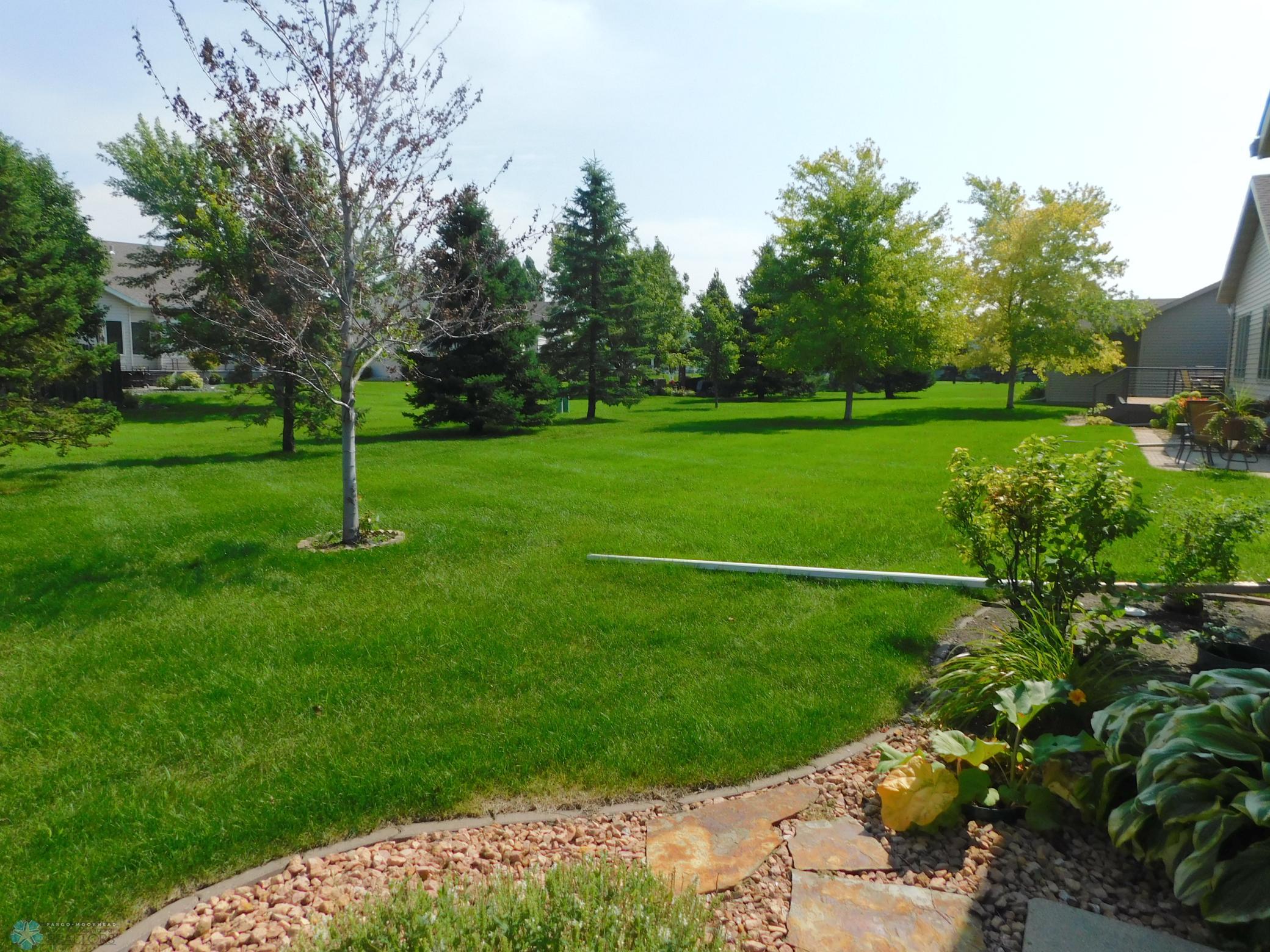 back yard