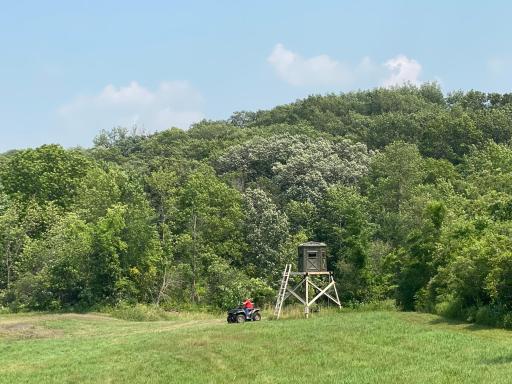 Allow Showing Time to Walk the Grounds. The Mowed Path from the Back Yard and to the Right of the Deer Stand (Included in the Sale) Lead to an Over $20,000 Scott County Conservation District Berm Crossing the Stream Nearing the Back of the Property.