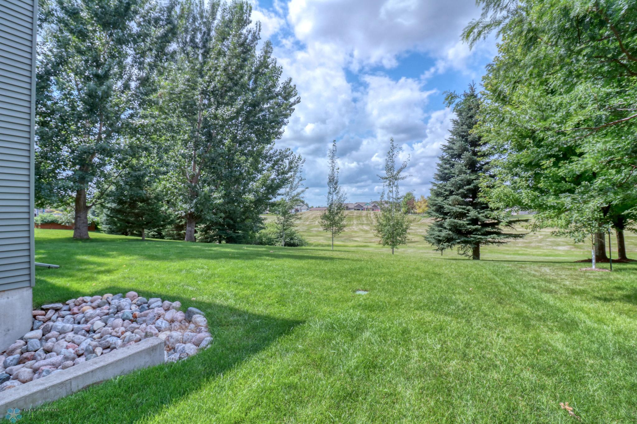 Backyard1_1.jpg