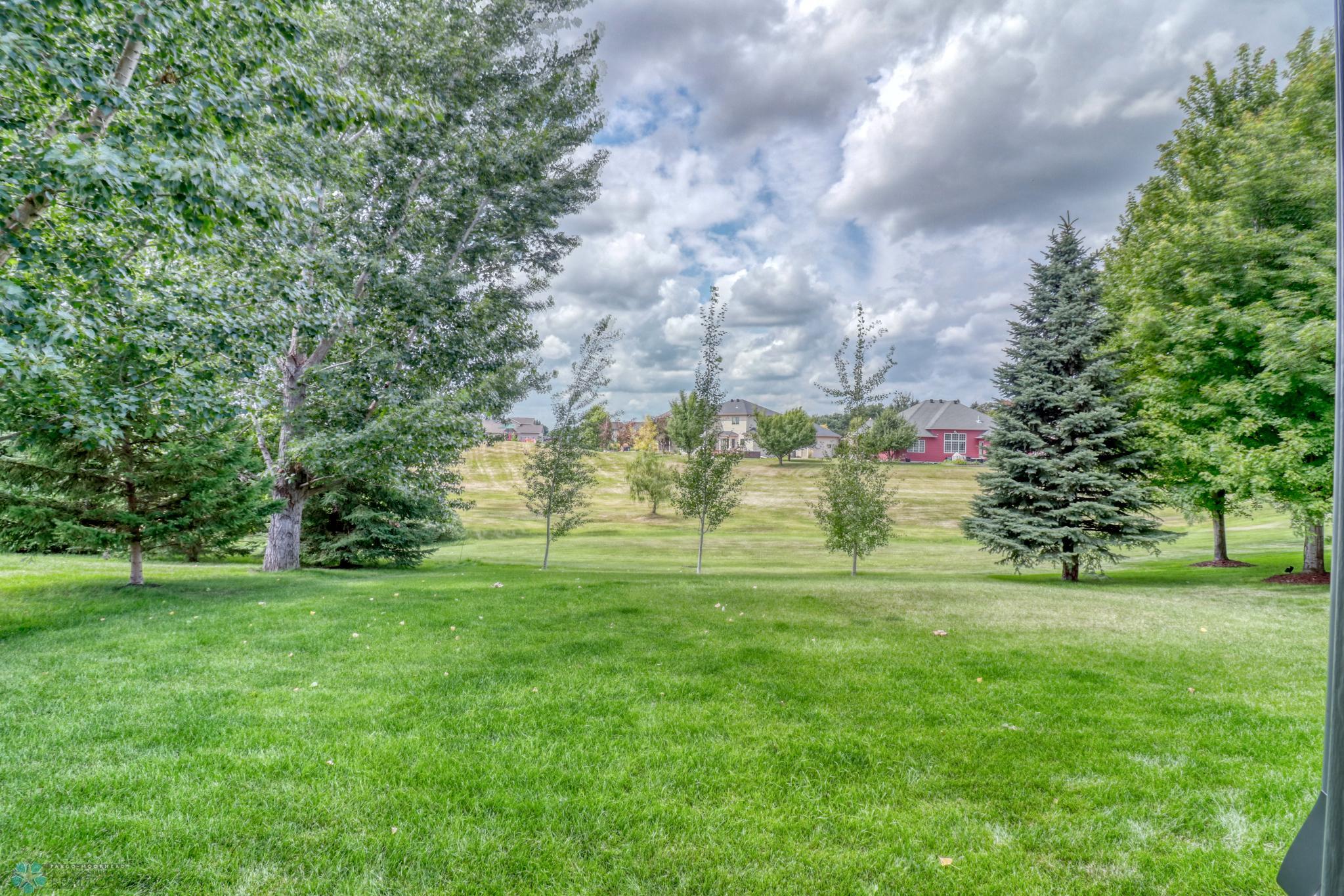 Backyard1_0.jpg