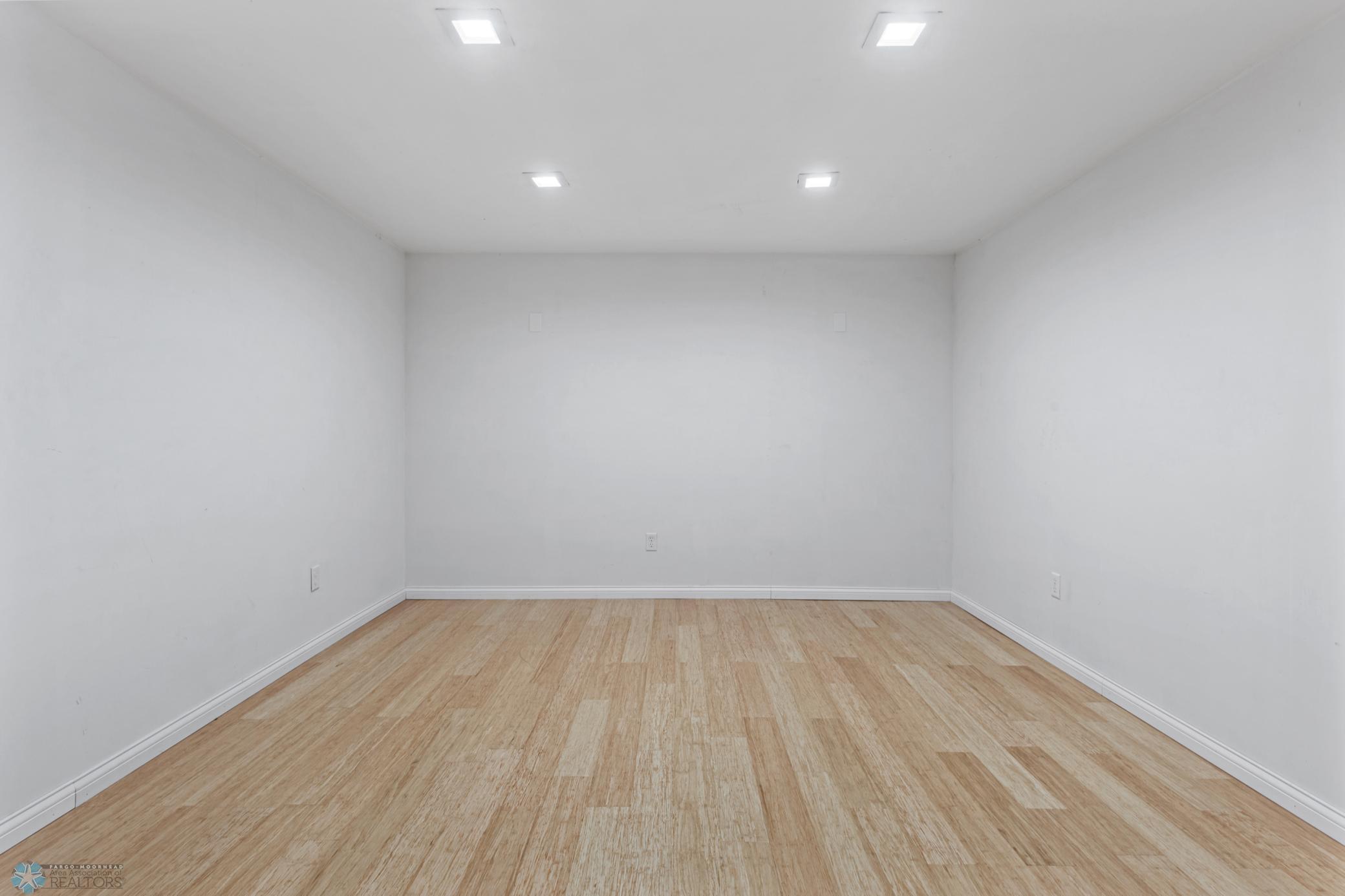Flex room - Lowest Level