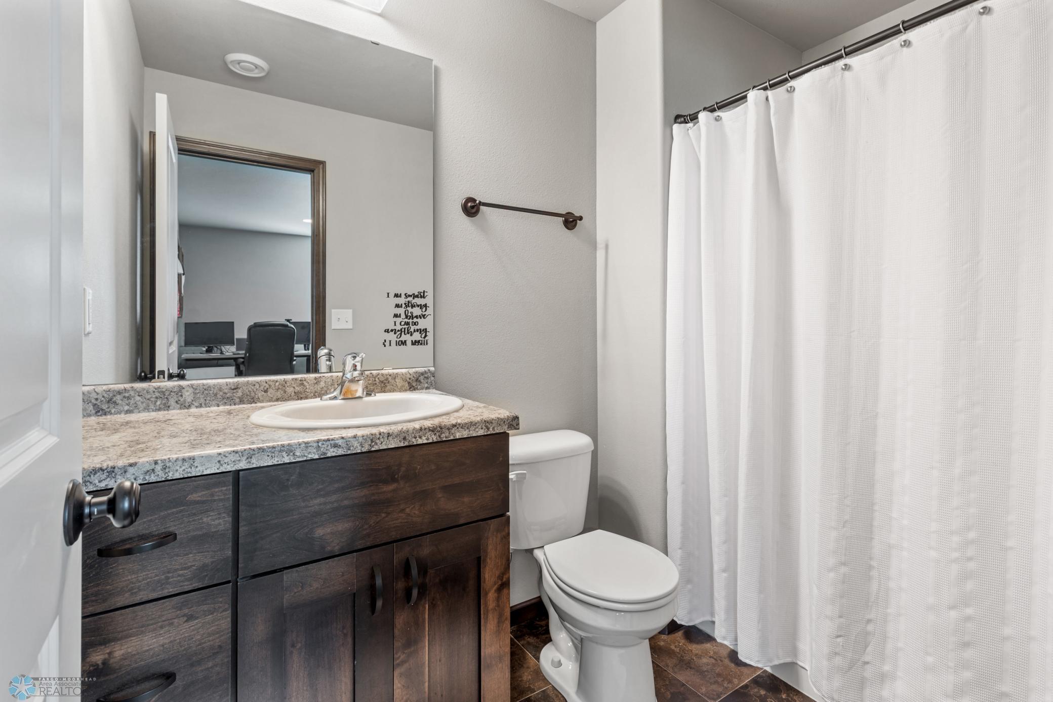 Lower level bathroom