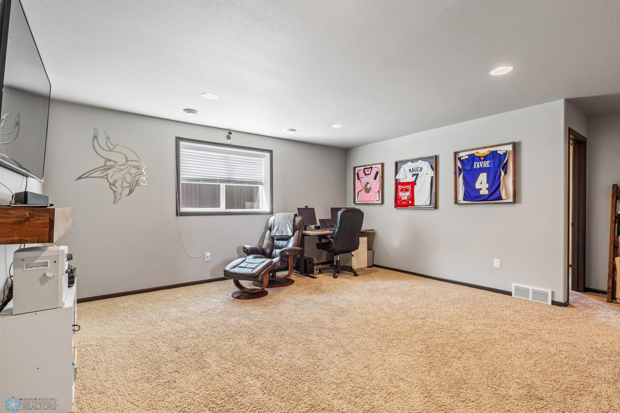 Lower level family room
