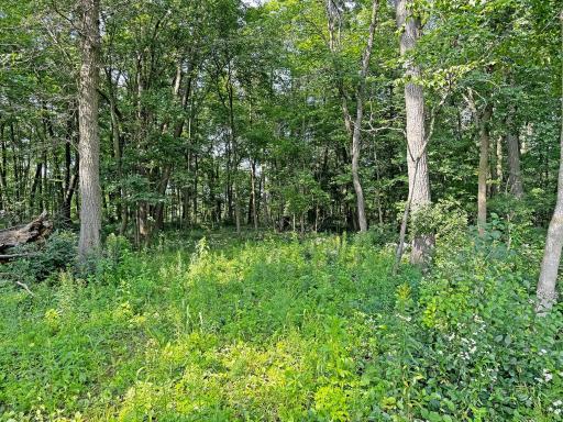 XXX 57th Avenue, Osceola, WI 54020