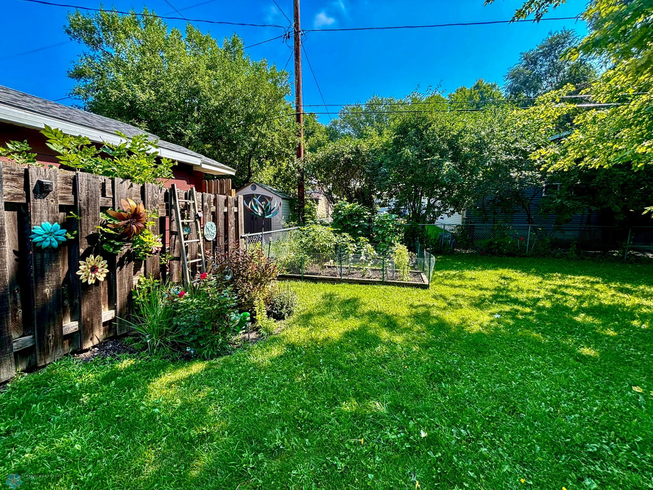 Garden