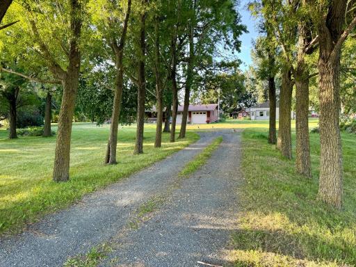 Tree-lined driveway to your private escape