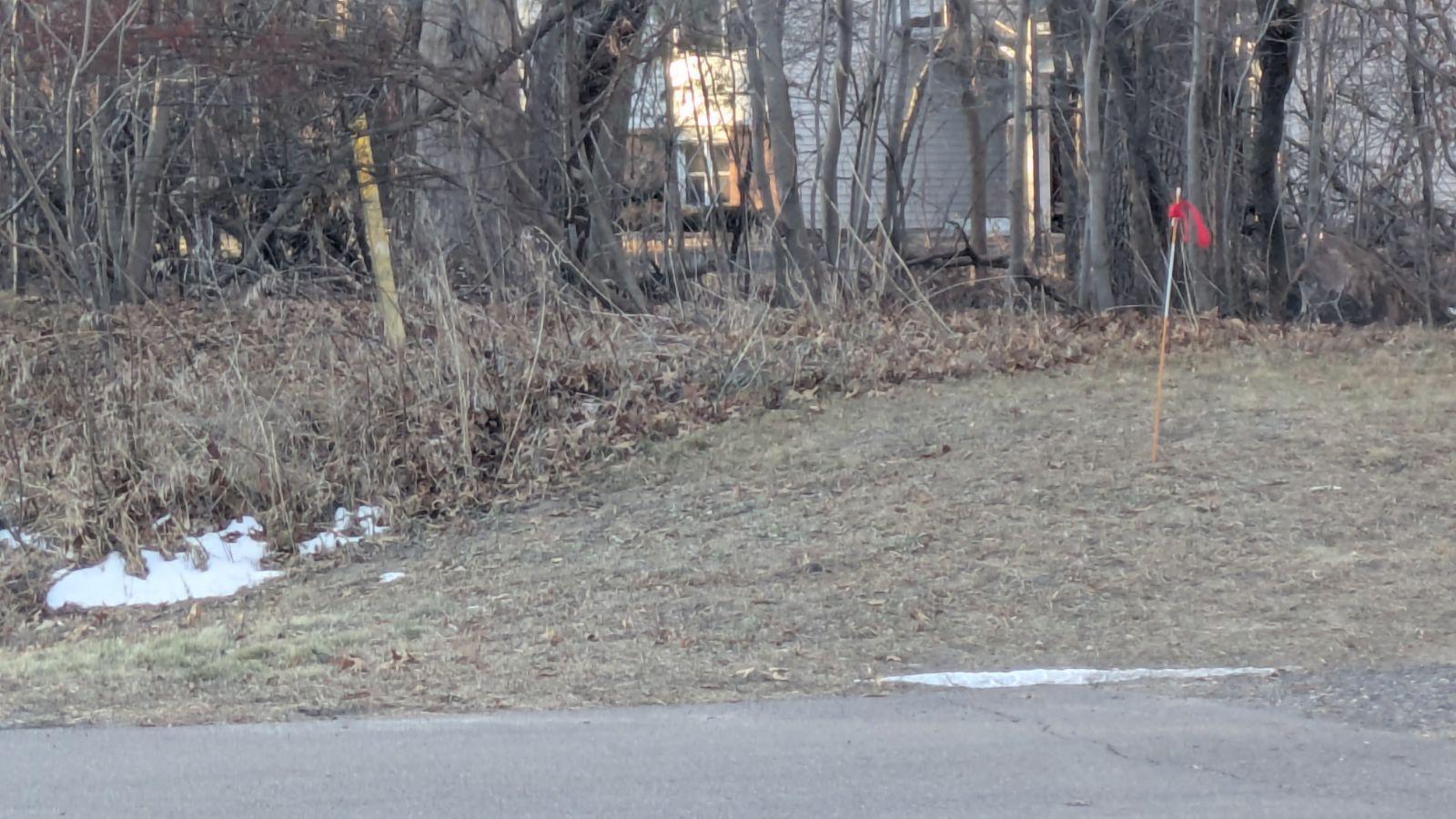 This is the approximate east side lot marker in red. This is definitely someone's dream property!! Maybe it's yours if you act quickly!