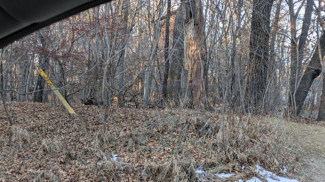 Not only is there the wooded lot for privacy, but there are woods on the other side, back and across the street!!!