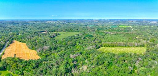 The lower 30 acres features expansive open fields creating a variety of possibilities.